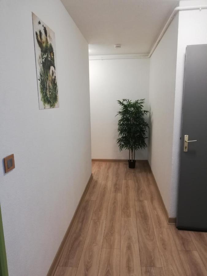 Grand T3 Avec Clim, Parking Et Terrasse Privative - Agen Appartement Buitenkant foto